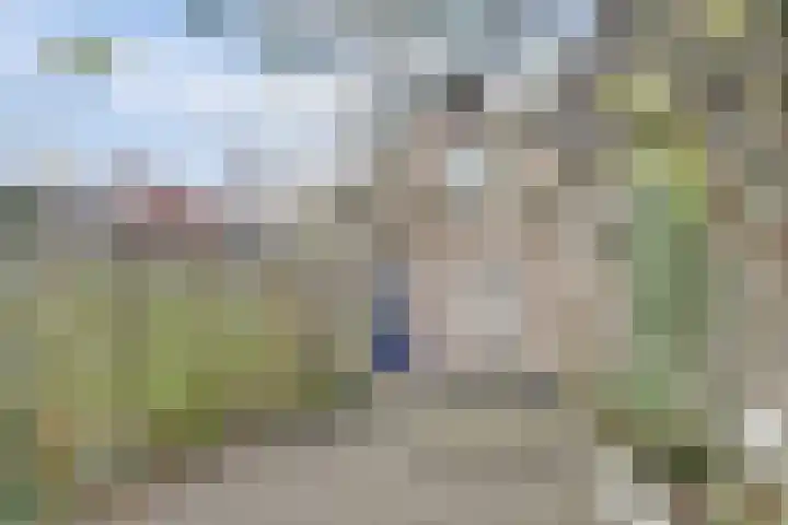 Koestraat 28 Geertruidenberg thumbnail 33