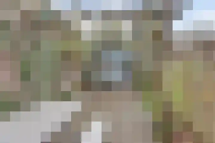 Koestraat 28 Geertruidenberg thumbnail 34