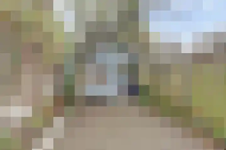 Koestraat 28 Geertruidenberg thumbnail 35