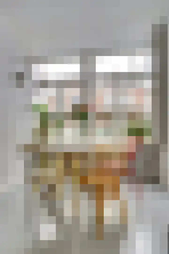 Koestraat 28 Geertruidenberg thumbnail 7