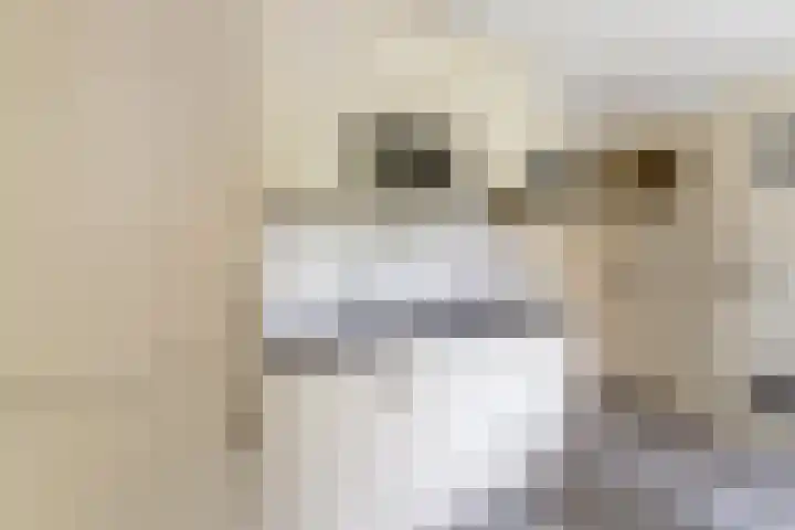 Koestraat 29 Arcen thumbnail 13
