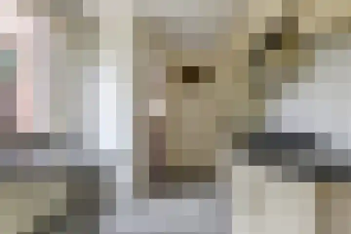 Koestraat 29 Arcen thumbnail 14