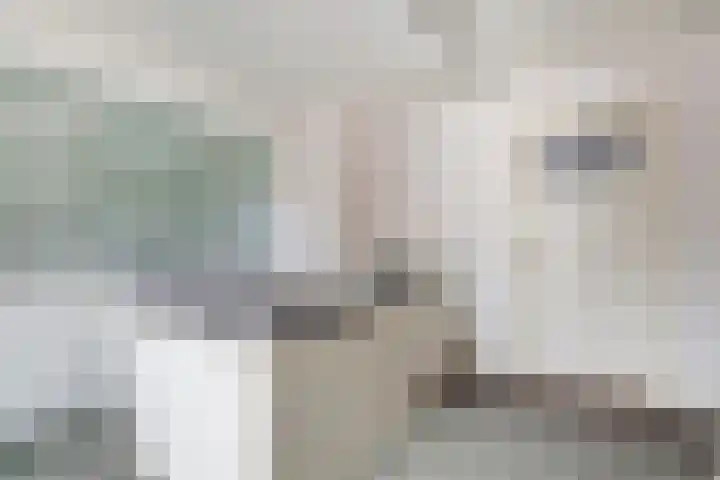 Koestraat 29 Arcen thumbnail 17