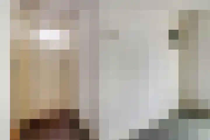Koestraat 29 Arcen thumbnail 21