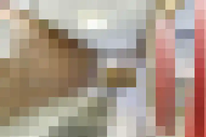 Koestraat 29 Arcen thumbnail 31
