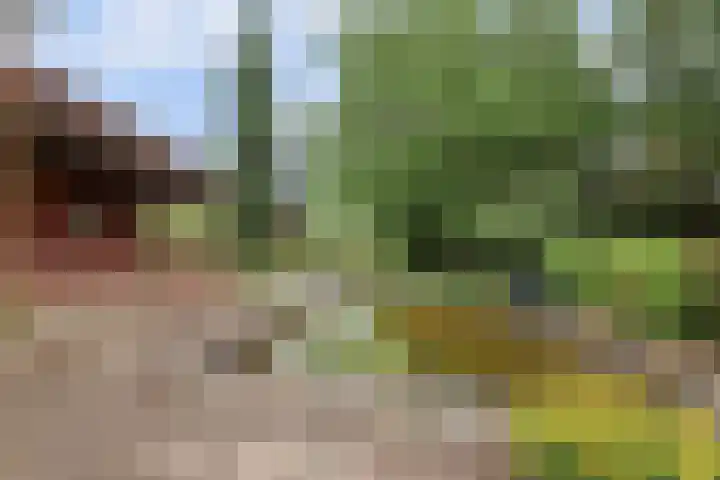 Koestraat 29 Arcen thumbnail 36