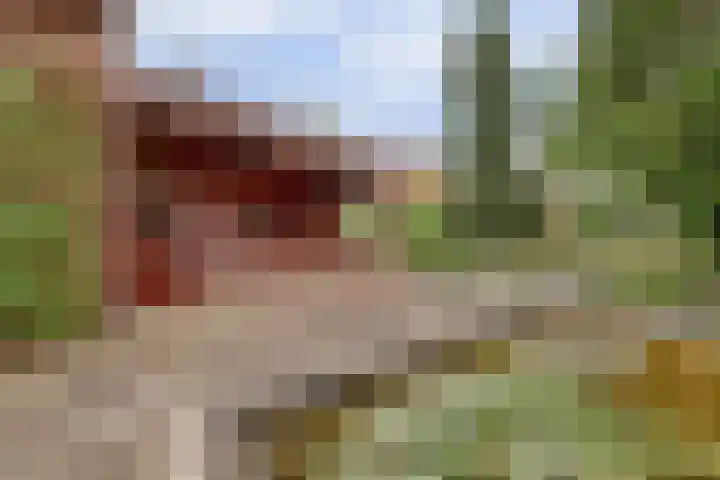 Koestraat 29 Arcen thumbnail 37