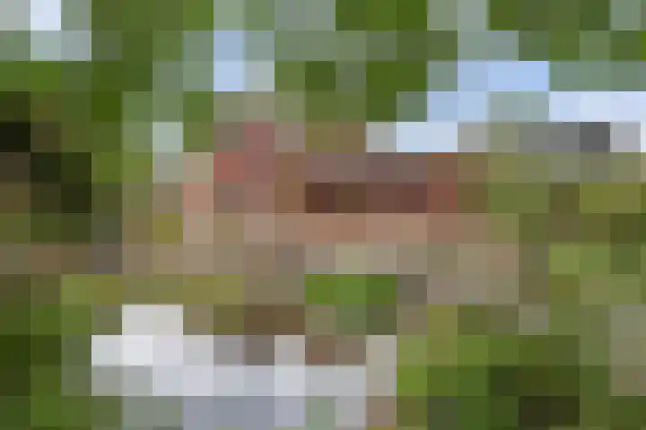 Koestraat 29 Arcen thumbnail 39