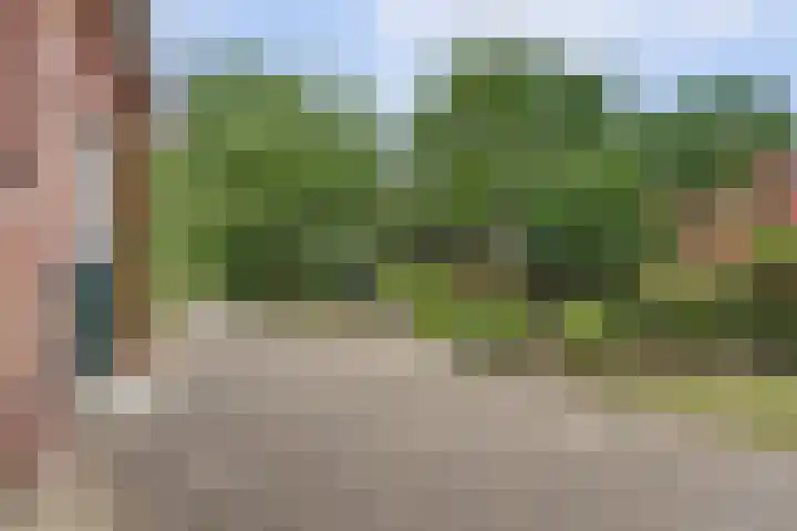 Koestraat 29 Arcen thumbnail 5