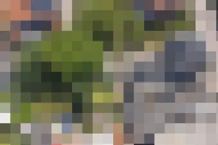 Koestraat 29 Arcen thumbnail 50