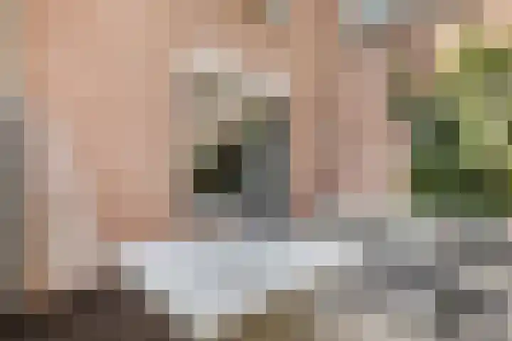 Koestraat 3 a Schoonhoven thumbnail 15
