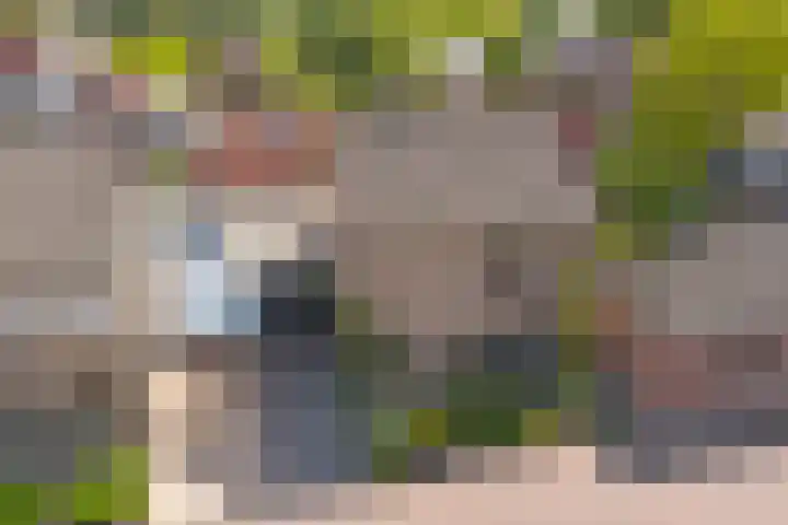 Koestraat 30 Arcen thumbnail 29