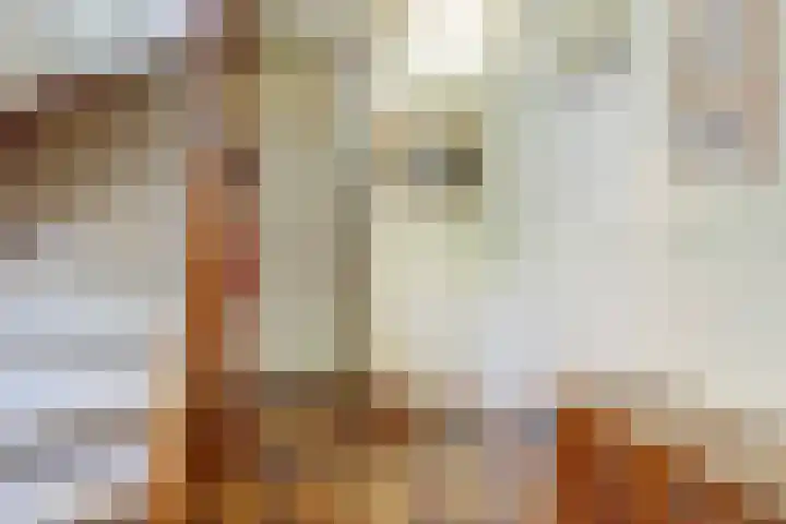 Koestraat 30 Arcen thumbnail 5