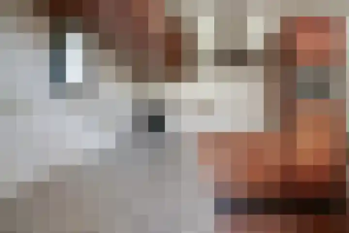 Koestraat 31 Lathum thumbnail 25