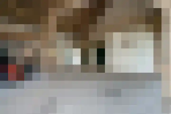 Koestraat 31 Lathum thumbnail 28