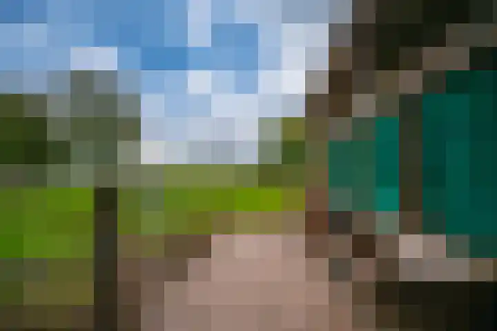 Koestraat 31 Lathum thumbnail 43