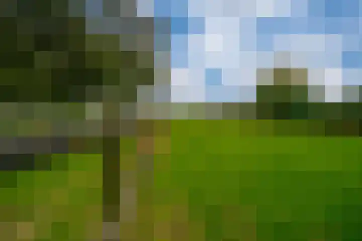 Koestraat 31 Lathum thumbnail 45
