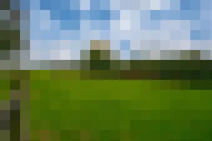 Koestraat 31 Lathum thumbnail 46