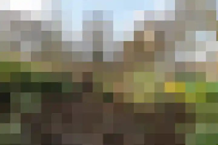 Koestraat 33 Kerkrade thumbnail 32