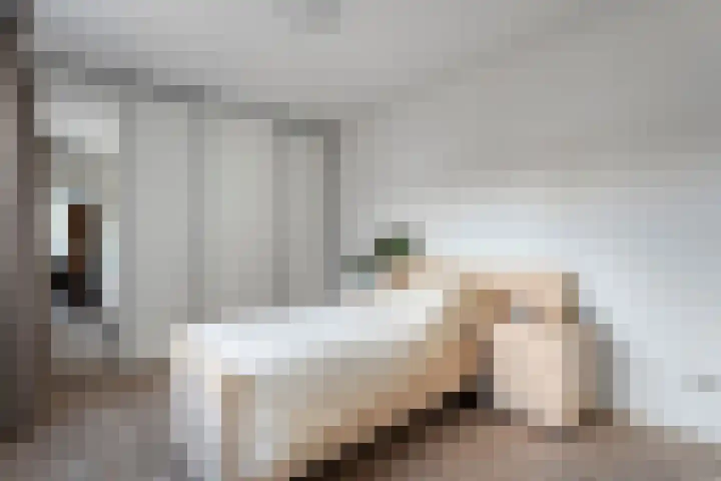 Koestraat 34 Dalfsen thumbnail 12