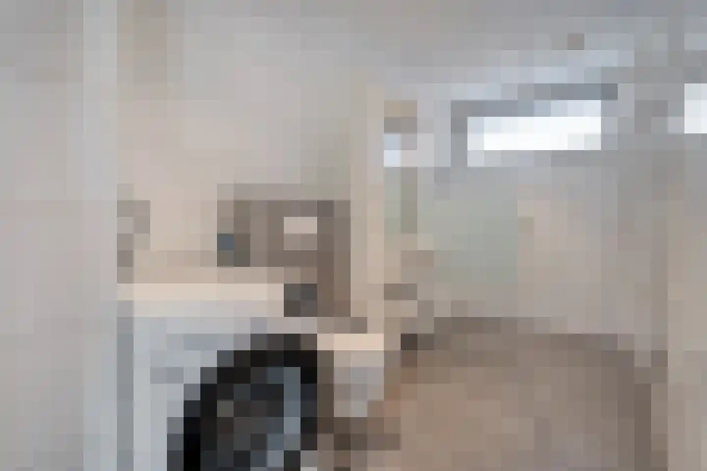 Koestraat 34 Dalfsen thumbnail 14