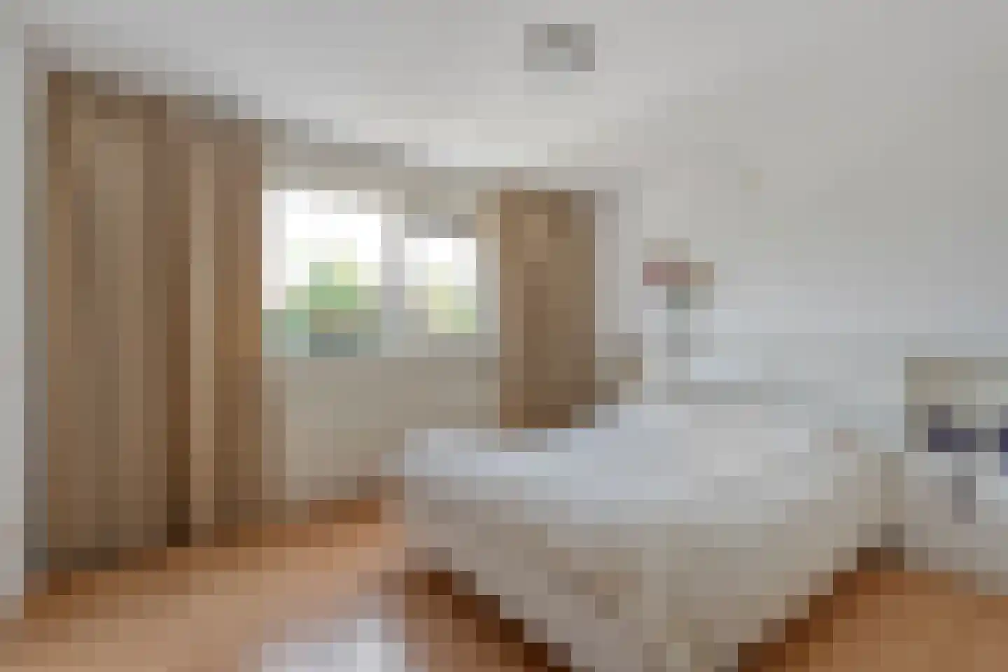 Koestraat 34 Dalfsen thumbnail 21