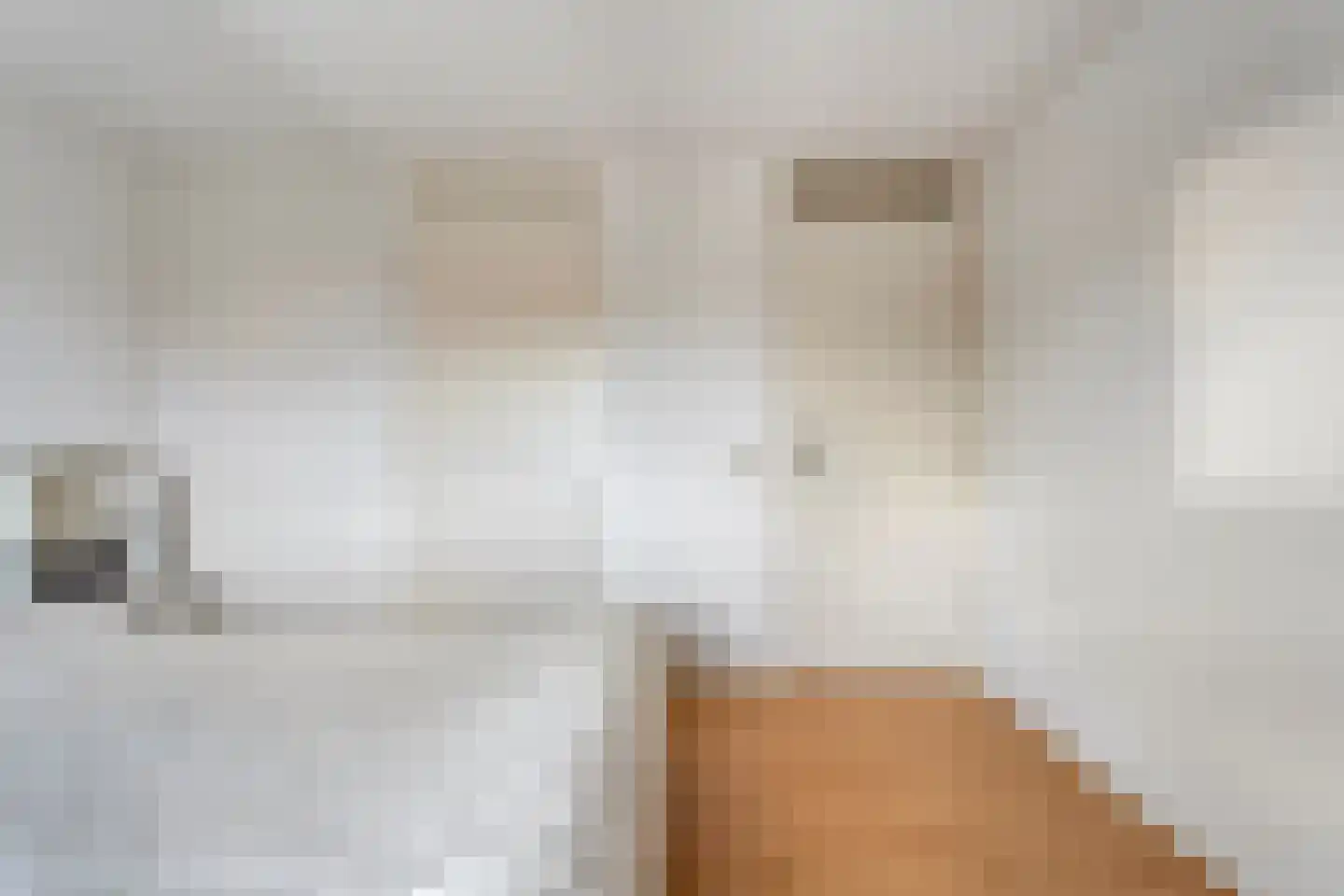 Koestraat 34 Dalfsen thumbnail 22