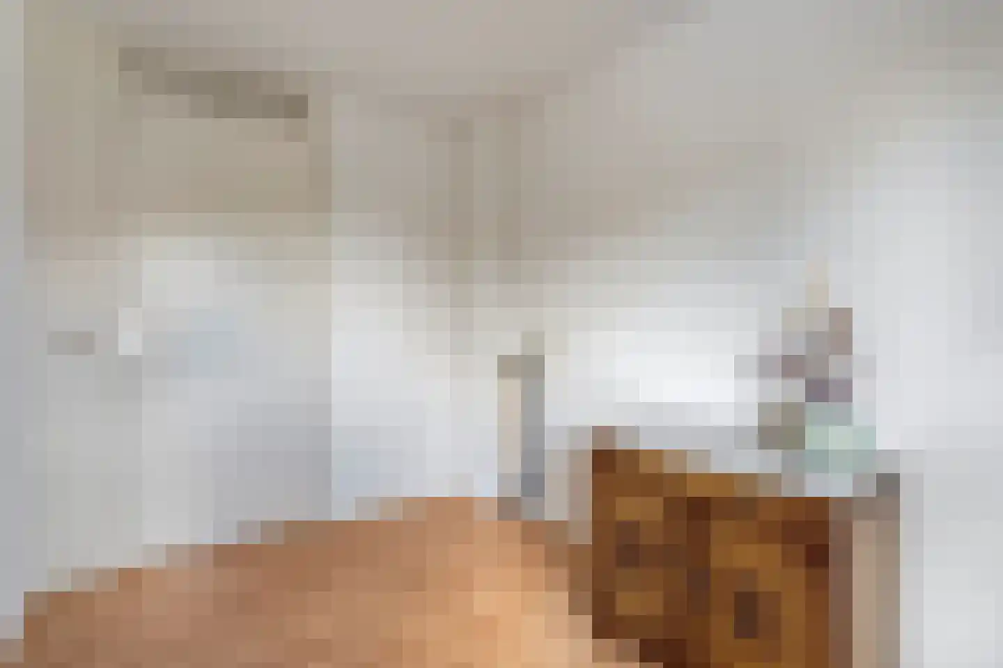 Koestraat 34 Dalfsen thumbnail 26