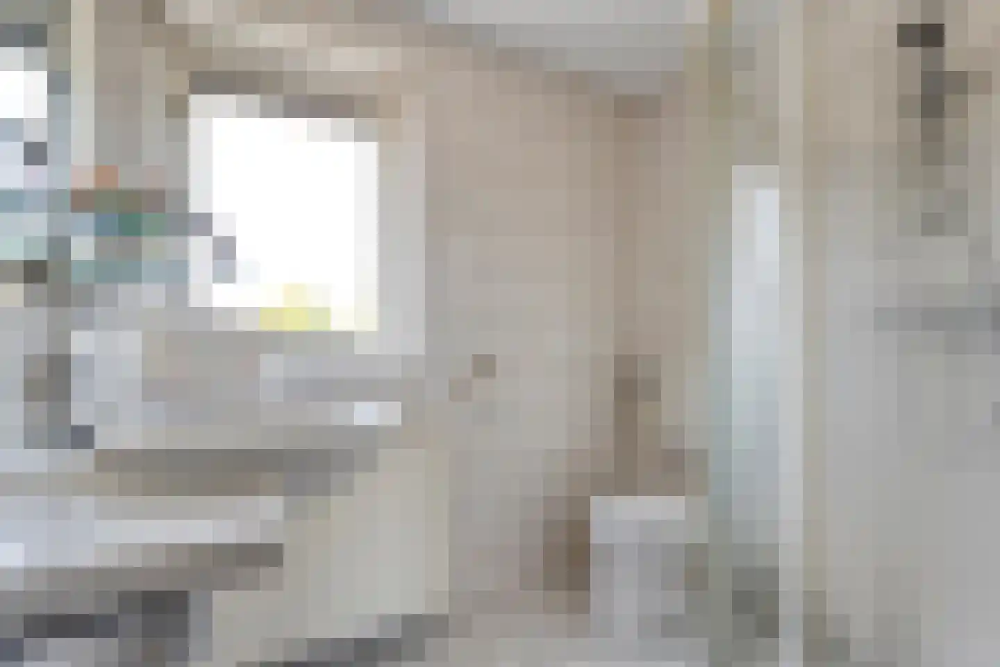 Koestraat 34 Dalfsen thumbnail 27