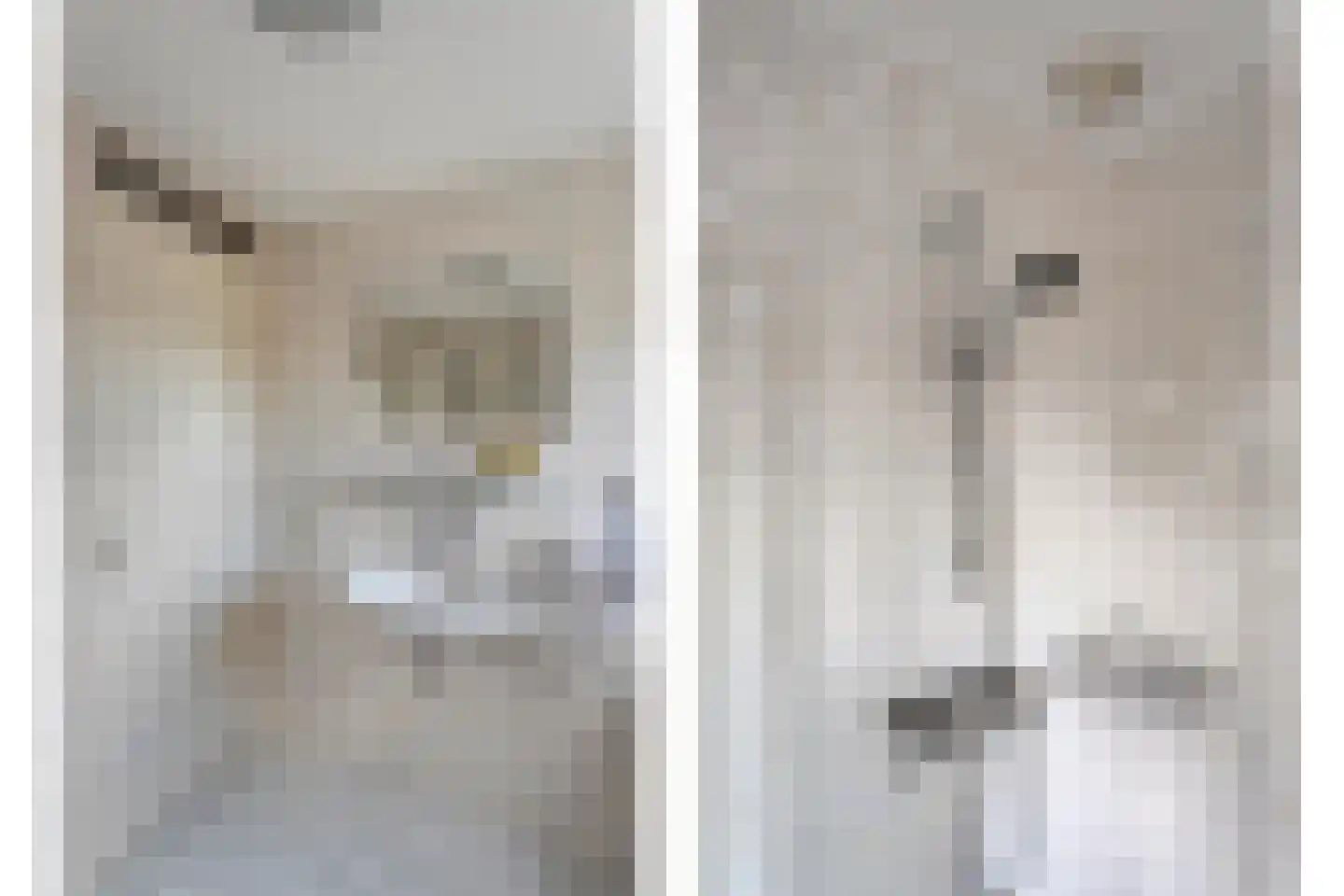 Koestraat 34 Dalfsen thumbnail 29