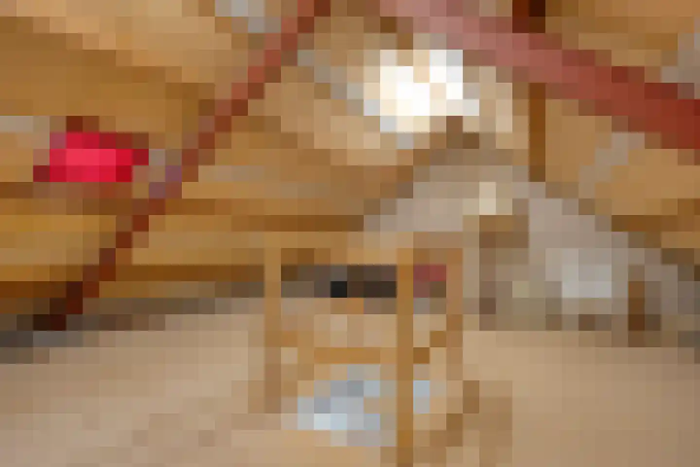 Koestraat 34 Dalfsen thumbnail 31