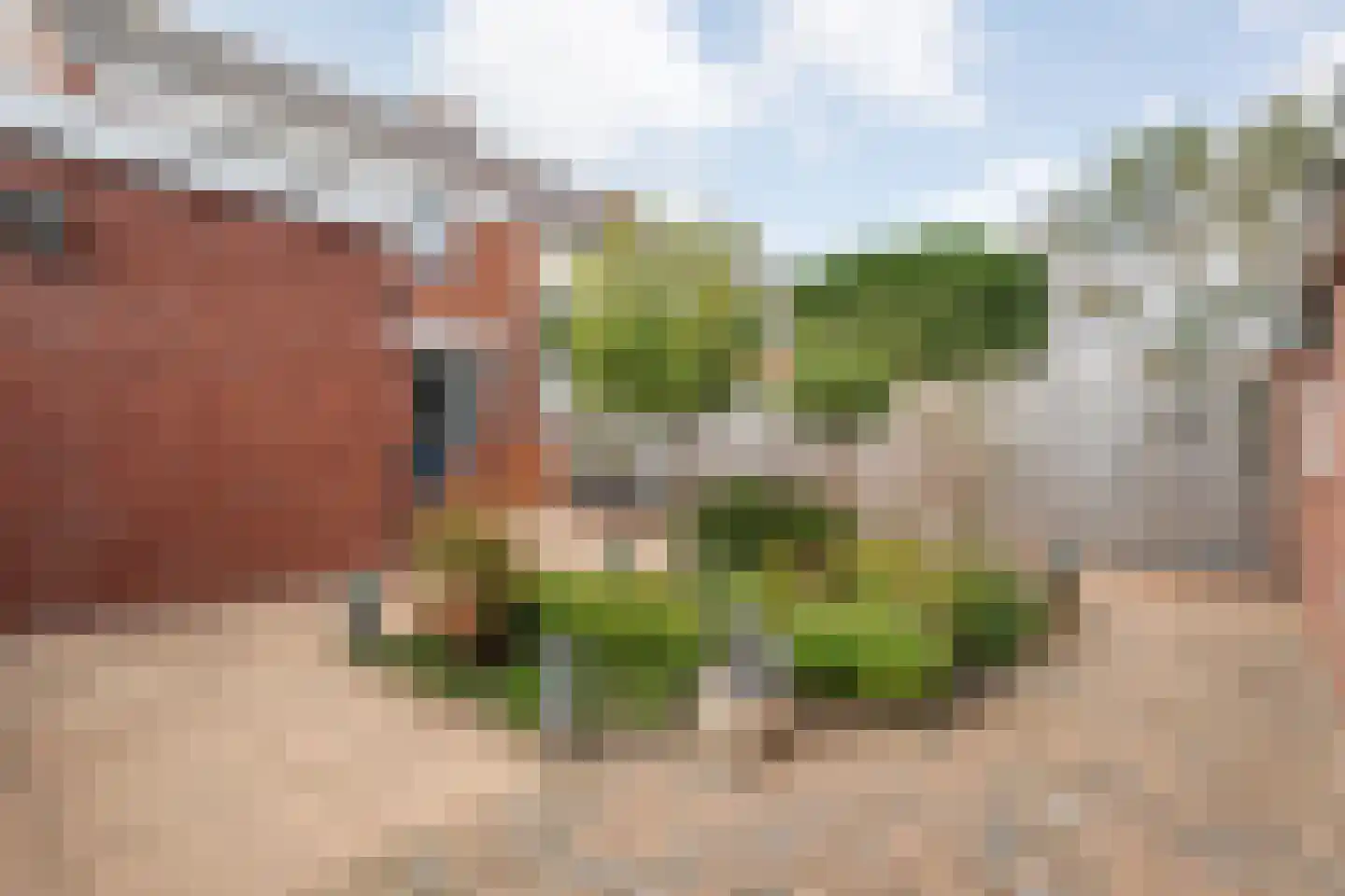 Koestraat 34 Dalfsen thumbnail 32