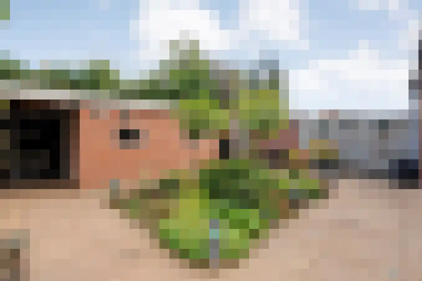 Koestraat 34 Dalfsen thumbnail 33