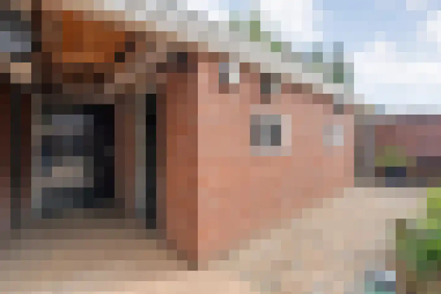 Koestraat 34 Dalfsen thumbnail 36