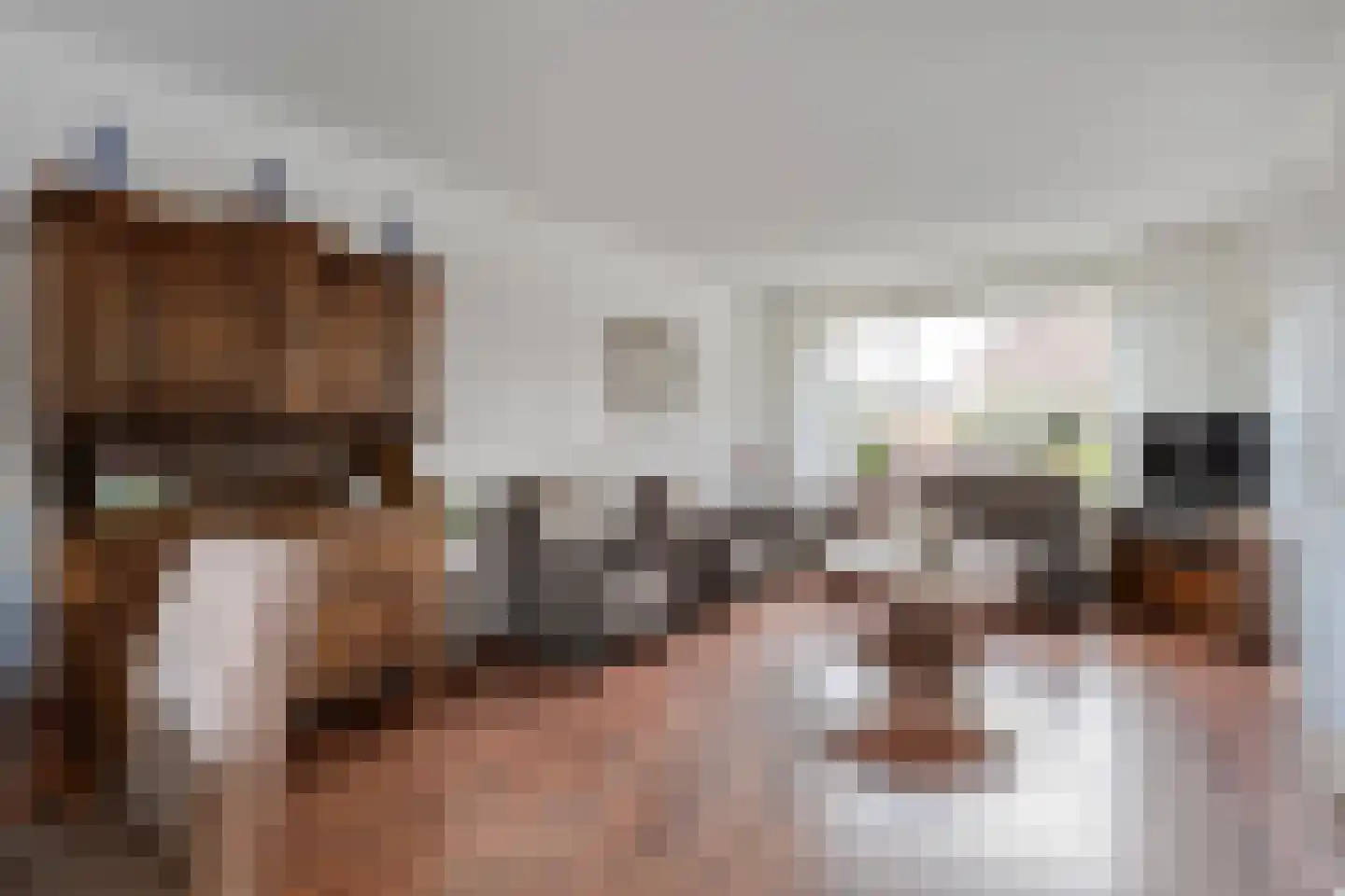 Koestraat 34 Dalfsen thumbnail 4