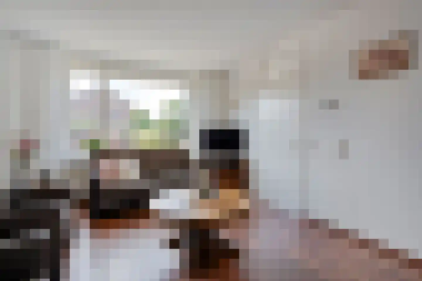 Koestraat 34 Dalfsen thumbnail 8