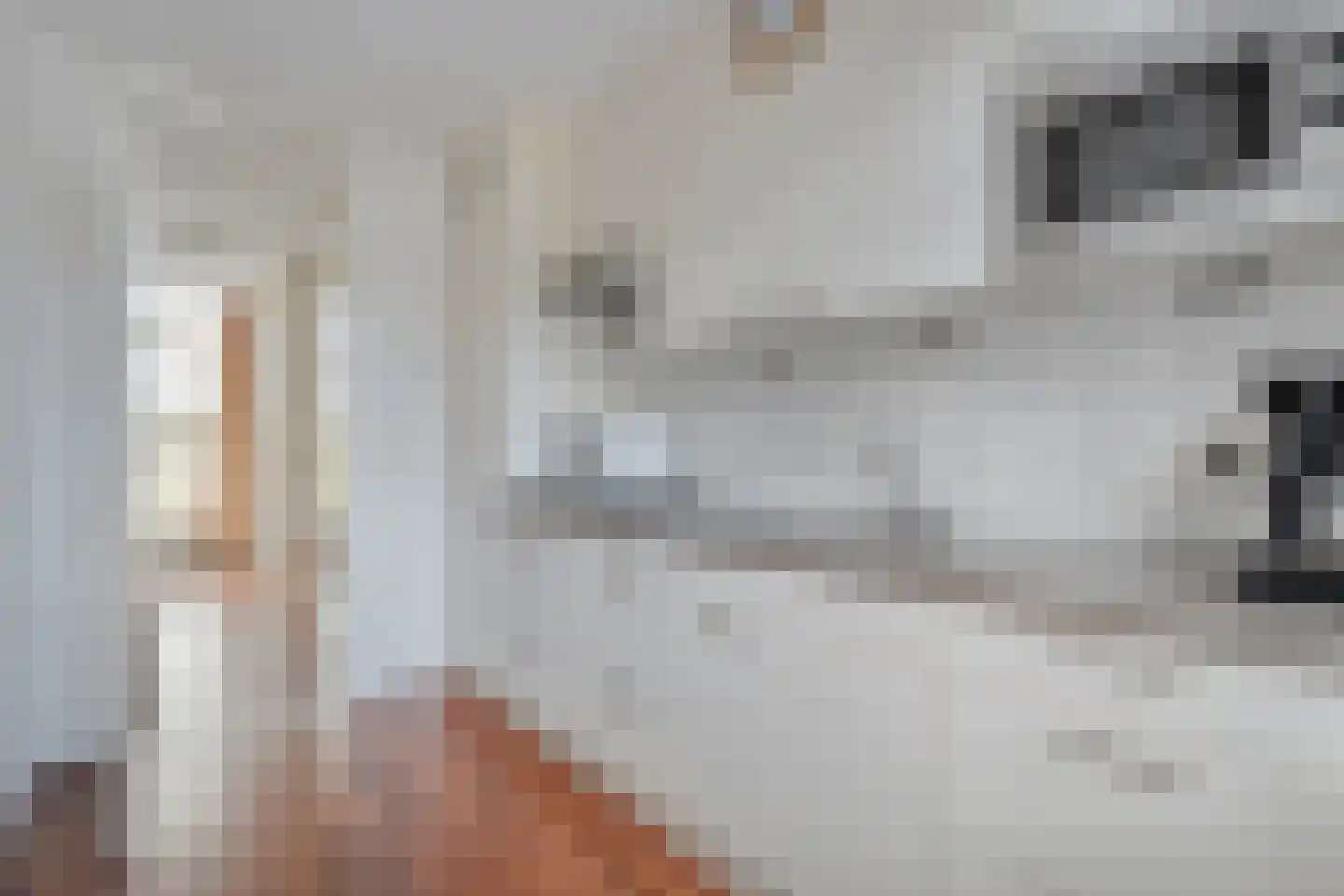 Koestraat 34 Dalfsen thumbnail 9
