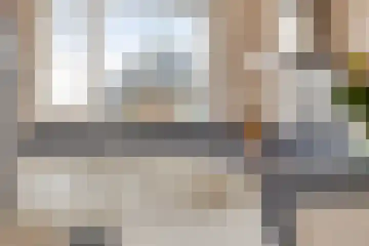 Koestraat 37 Asten thumbnail 13