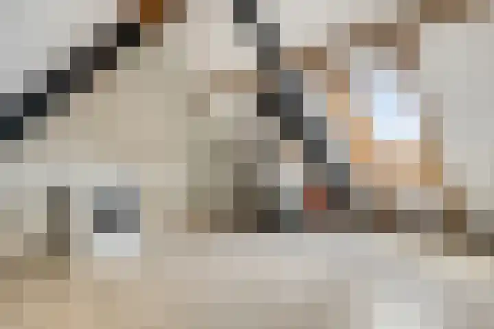Koestraat 37 Asten thumbnail 23