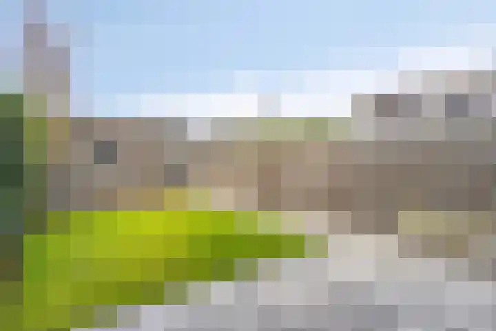 Koestraat 37 Asten thumbnail 26