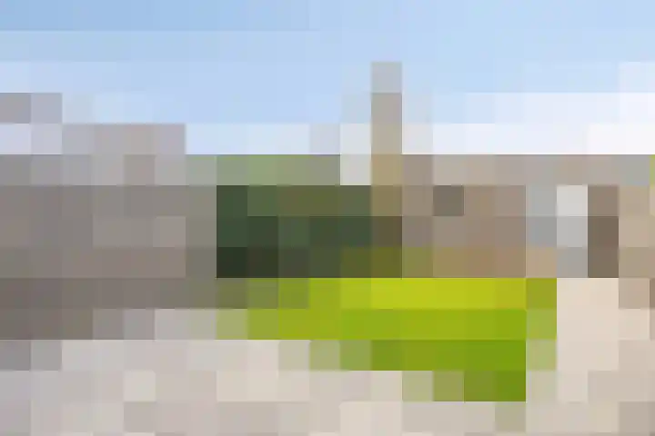 Koestraat 37 Asten thumbnail 27
