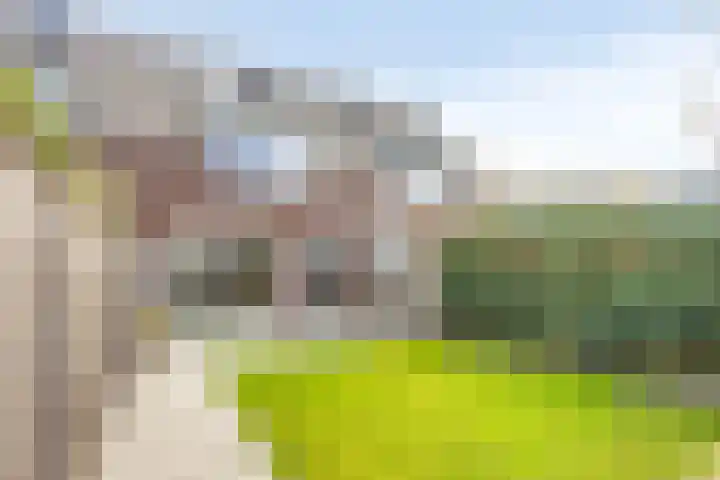 Koestraat 37 Asten thumbnail 28