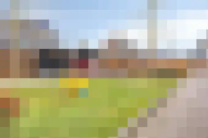 Koestraat 37 Asten thumbnail 31