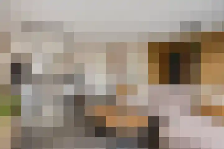 Koestraat 37 Asten thumbnail 4