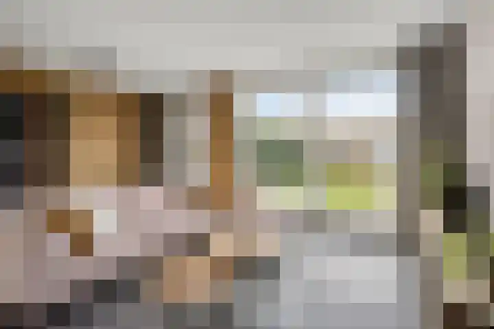 Koestraat 37 Asten thumbnail 5