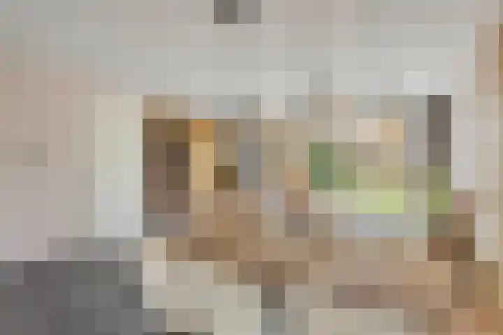 Koestraat 37 Asten thumbnail 7