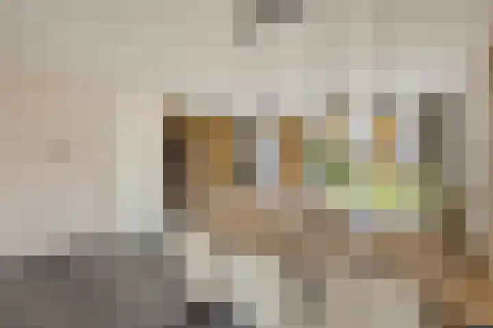Koestraat 37 Asten thumbnail 8