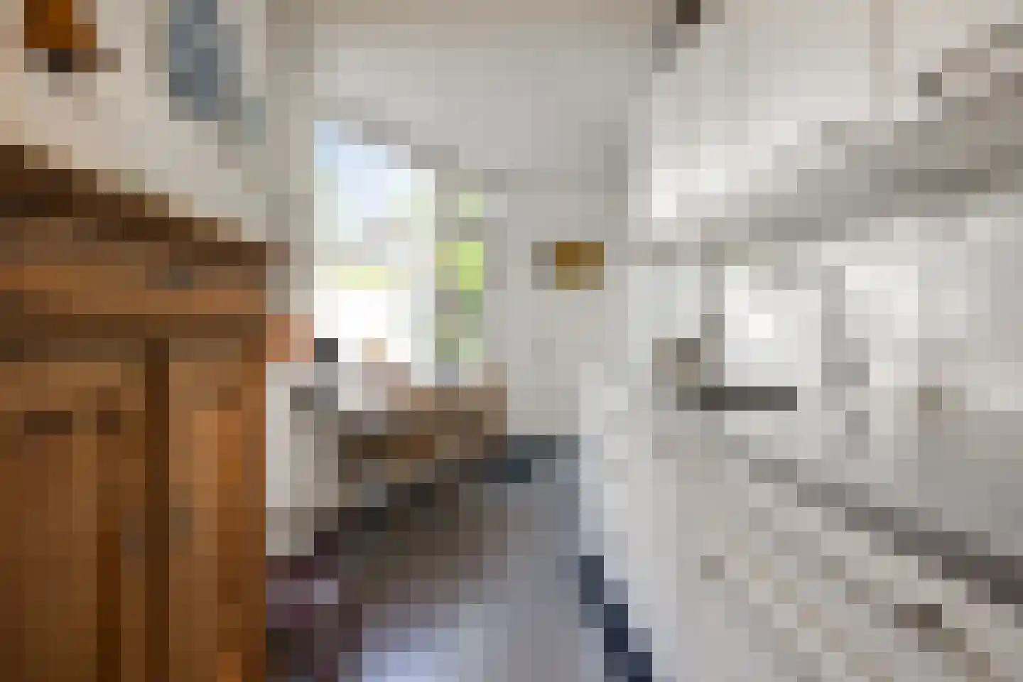 Koestraat 4 Vught thumbnail 22
