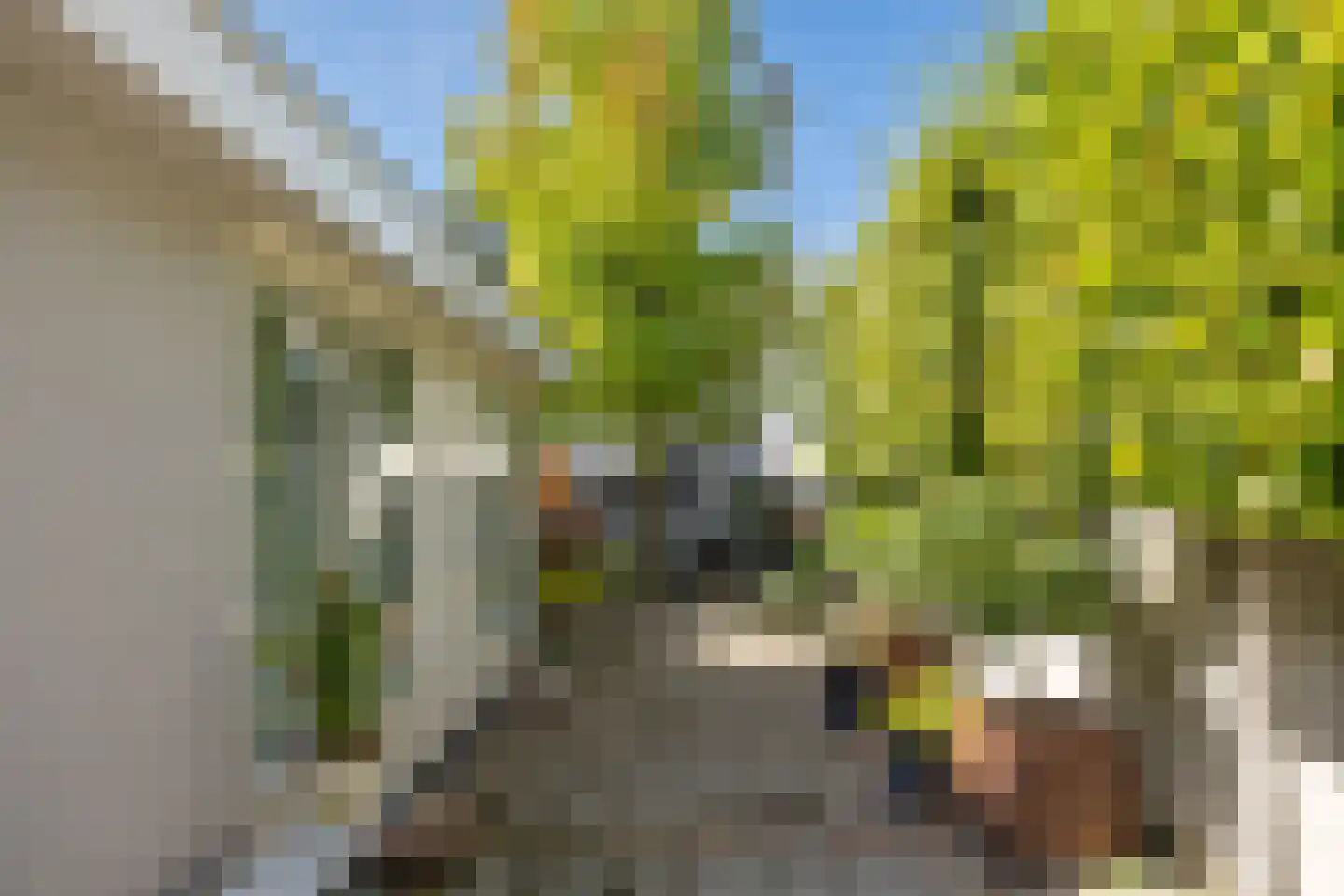 Koestraat 4 Vught thumbnail 34
