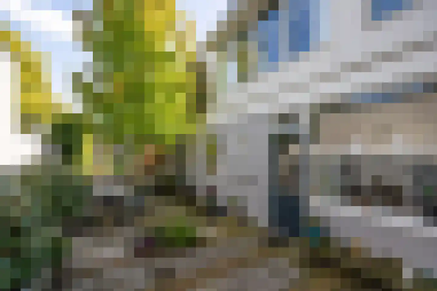 Koestraat 4 Vught thumbnail 49